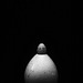 quail egg vase II