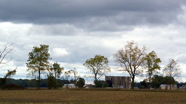 Trees and Silos