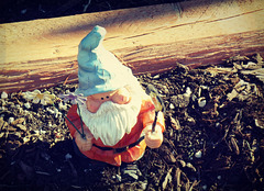 Gneighbor's gnome