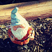 Gneighbor's gnome