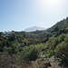 View Of El Teide From Icod