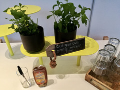 Amsterdam 2019 – Cut your own mint for mint tea