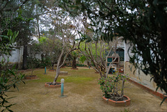 SC82, Dr Gamito's garden