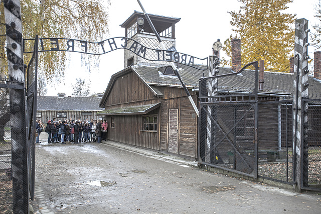 Auschwitz Birkenau-26