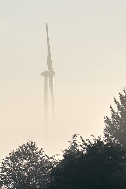 Windrad aus dem Nebel
