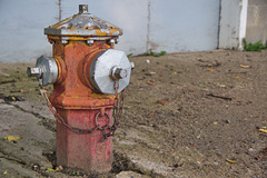 multicolour hydrant 2