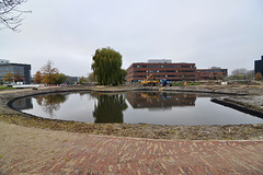 New pond in the Schilperoort Park