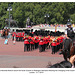 Mounted police escort Scots Guards, London 31 7 2014