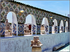 Tunisi : sui tetti della Medina