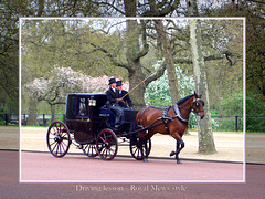 Royal carriage driving lesson along The Mall - London - 27.4.06