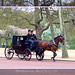 Royal carriage driving lesson along The Mall - London - 27.4.06