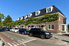 New houses in Warmond