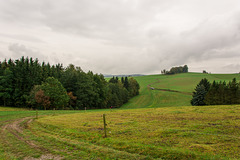 Feldweg nach Burkhardtsdorf und Meinersdorf