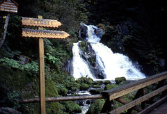 Triberger Wasserfälle (Dia-Scan)