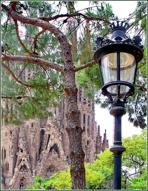 Barcellona : La Sagrada Familia vista da Plaça de Gaudí