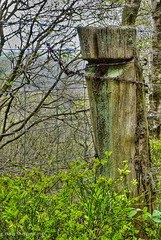 A fencepost from years long past (HFF everyone)