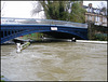 Thames in spate at Osney Bridge