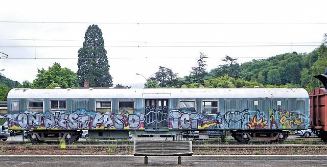 Gare de Bourgoin-Jallieu (38) 22 mai 2013. "Train Art"...