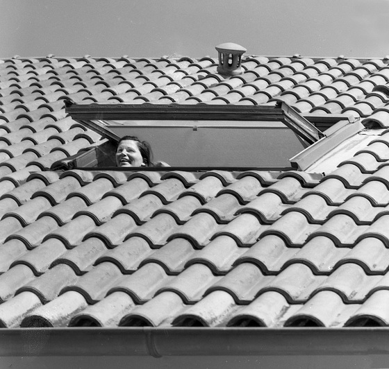 Smile from a Skylight