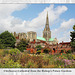 Chichester Cathedral from Bishop's Palace Gardens 6 8 2014 la