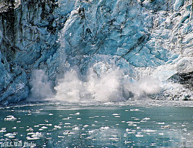 Margerie Glacier Calving #2