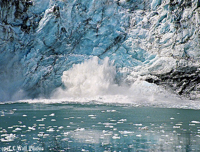 Margerie Glacier Calving #3