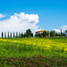 Historical region of Val d'Orcia, between the towns of Montepulciano and Montalcino