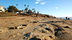 Sea side landscape ~ La Jolla