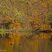 Autumn Colours and Reflections