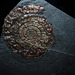 Nacre fossilisée - Ammonite fossile sur argilite