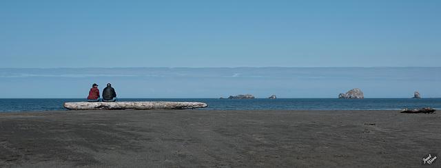 A Slice of Heaven from Humbug Mountain State Park Beach (+8 insets!)