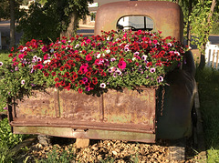 truck flower bed