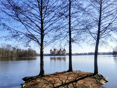 Drei Bäume ein See ein Schloss