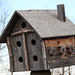 Birdhouse with a difference