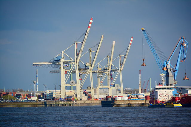 Hamburg 2019 – Cranes