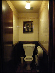 plush loo at the Ilchester Arms