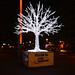 Light-giving tree