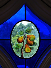 Pears at Strawberry Hill.