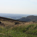 The view towards Tittesworth Reservoir from Ramshaw Rocks