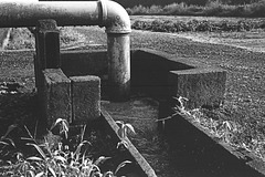 Source of irrigation water