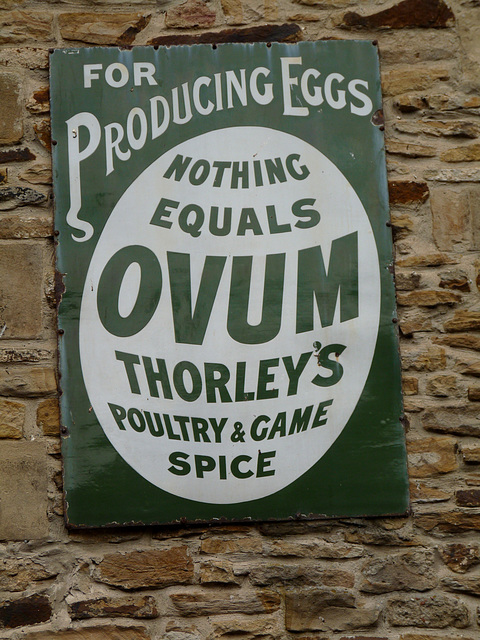 Beamish- 'Nothing Equals Ovum'