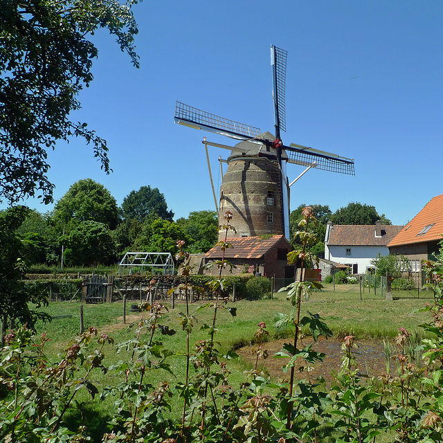Nederland - Torenmolen van Gronsveld