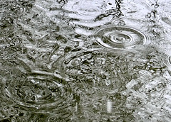 Kreise eines fallenden Regentropfens auf den Weiher