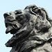 Bronze Lion head
