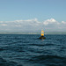 MFS - bell buoy