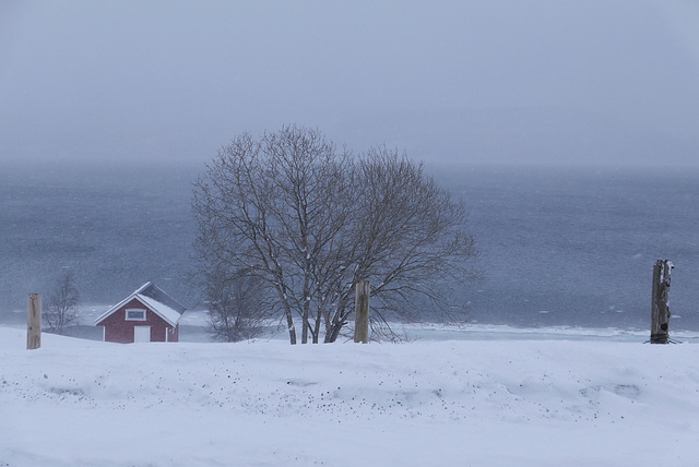 Lapland, Snow-storm 2
