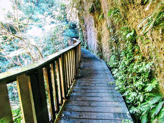 Path to Natural Bridge.