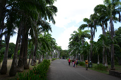 Venezuela, Puerto Ordaz, Main Alley in the Park of La Llovizna