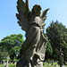 teddington cemetery, london