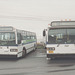 Metro Transit (Halifax, NS) 702 and 707 - 9 Sept 1992 (175-15)